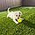 Toby