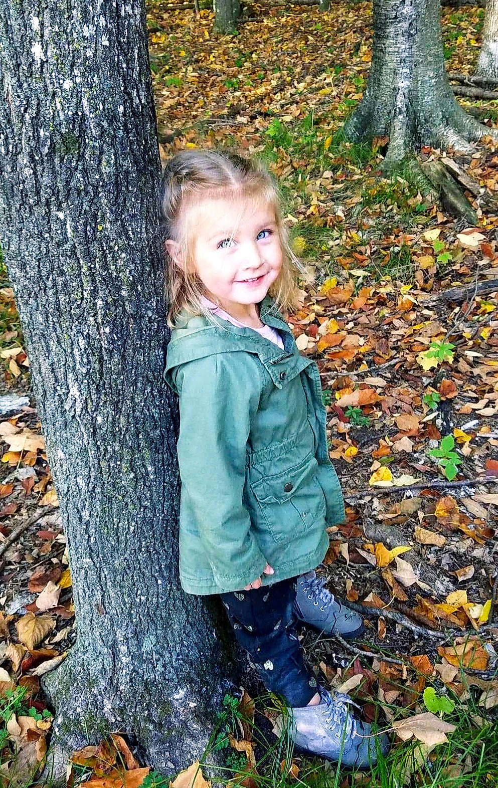 Lizzy is registered to the contest to win money with this photo: autumn, blond, child, child_model, deciduous, forest, joy, leaf, people_in_nature, person, photography, plant, portrait_photography, shortstraw_pine, smile, toddler, tree, trunk, wood, woodland