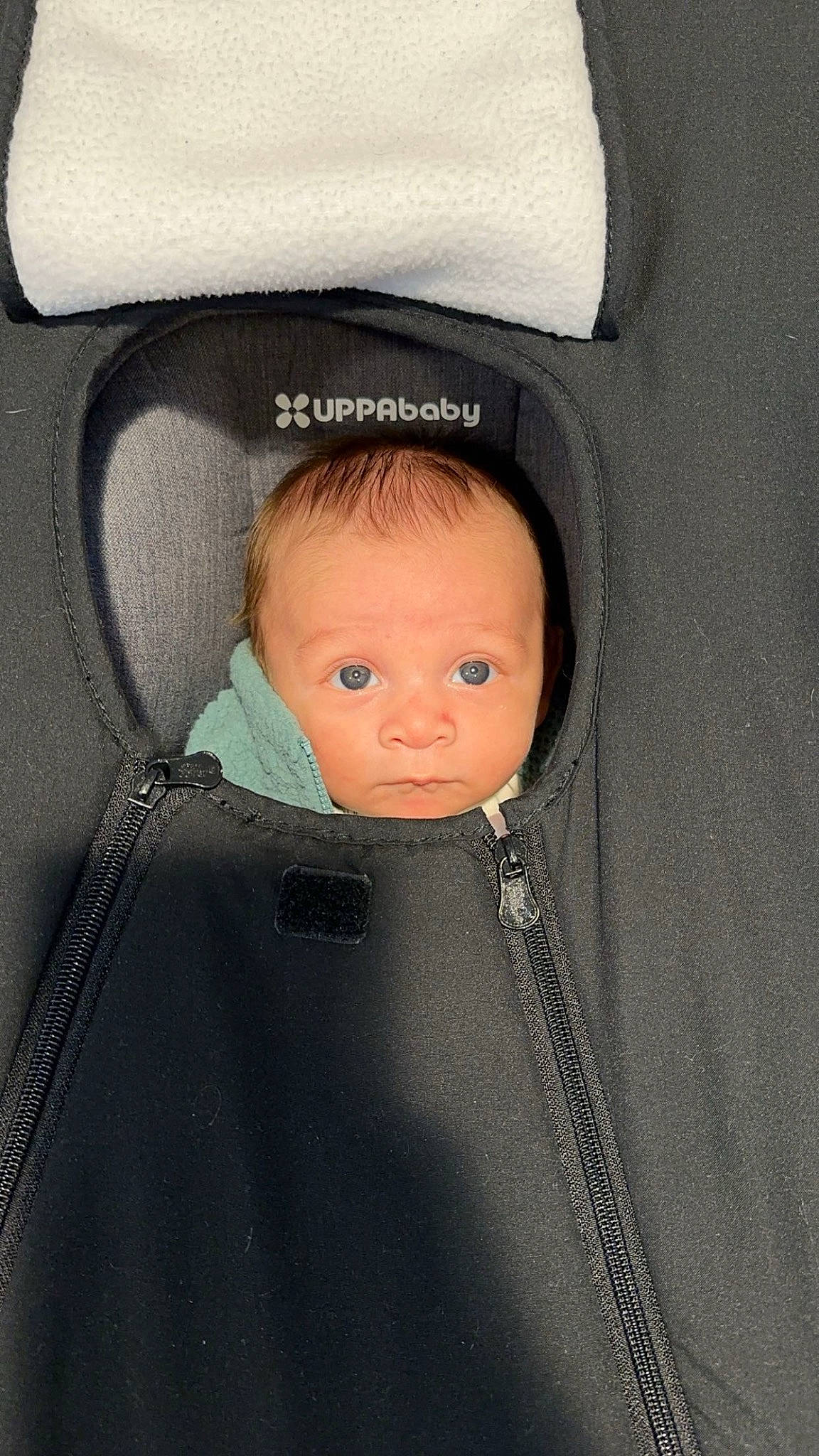 Kyrie joined the competition — help win amazing prizes! auto_part, baby, baby_carriage, baby_products, baby_safety, baby_toddler_clothing, car_seat, cheek, child, collar, comfort, face, fashion_accessory, pattern, person, sitting, sleeve, toddler