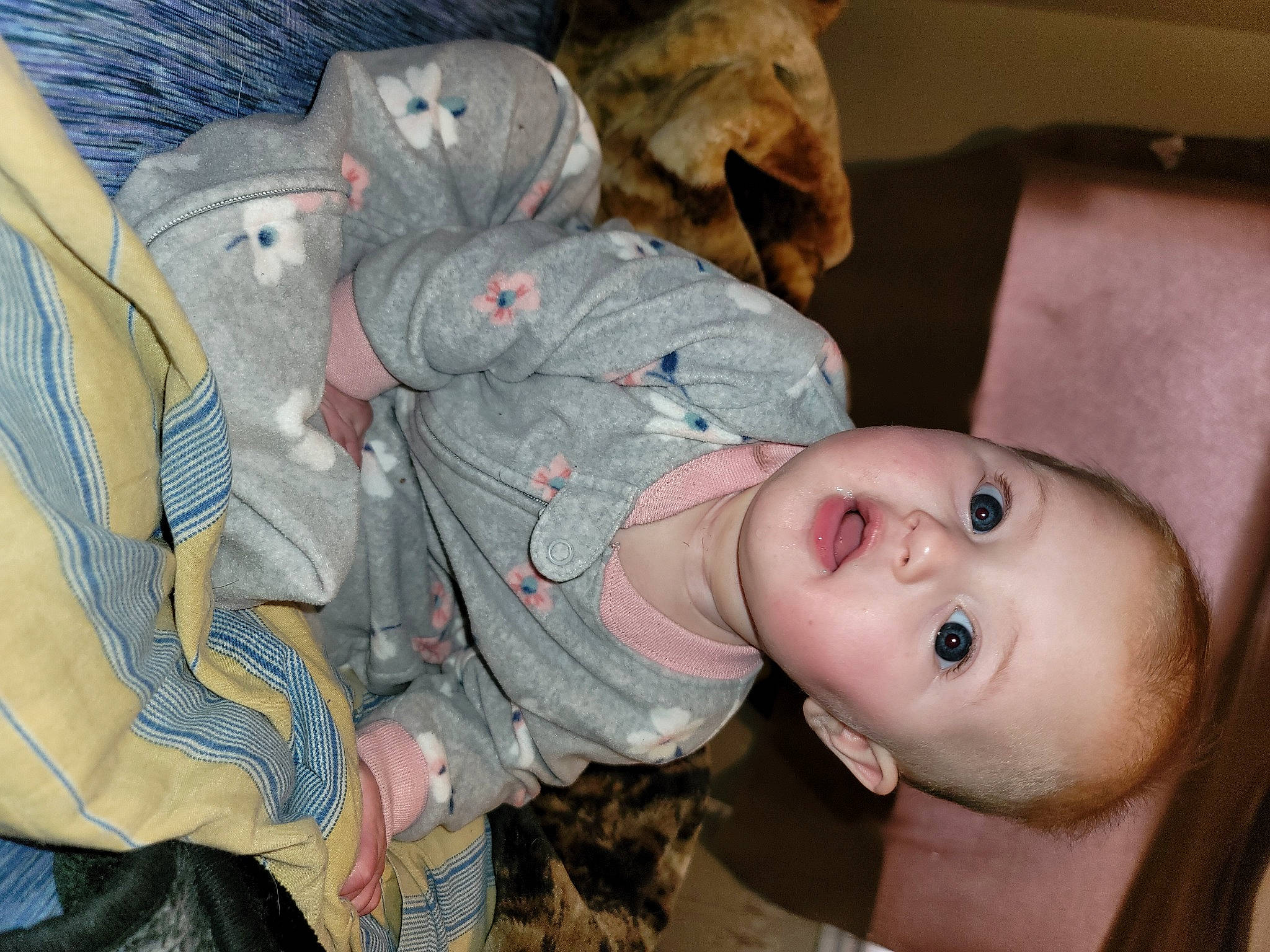 Rubyjean is registered to the contest to win money with this photo: baby, baby_products, baby_toddler_clothing, baby_toys, cheek, child, eyelash, humour, iris, lip, person, plush, skin, stuffed_toy, surprise, teddy_bear, toddler, tongue, toy