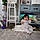 Nazneen