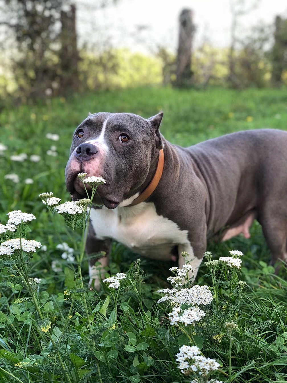 Xena