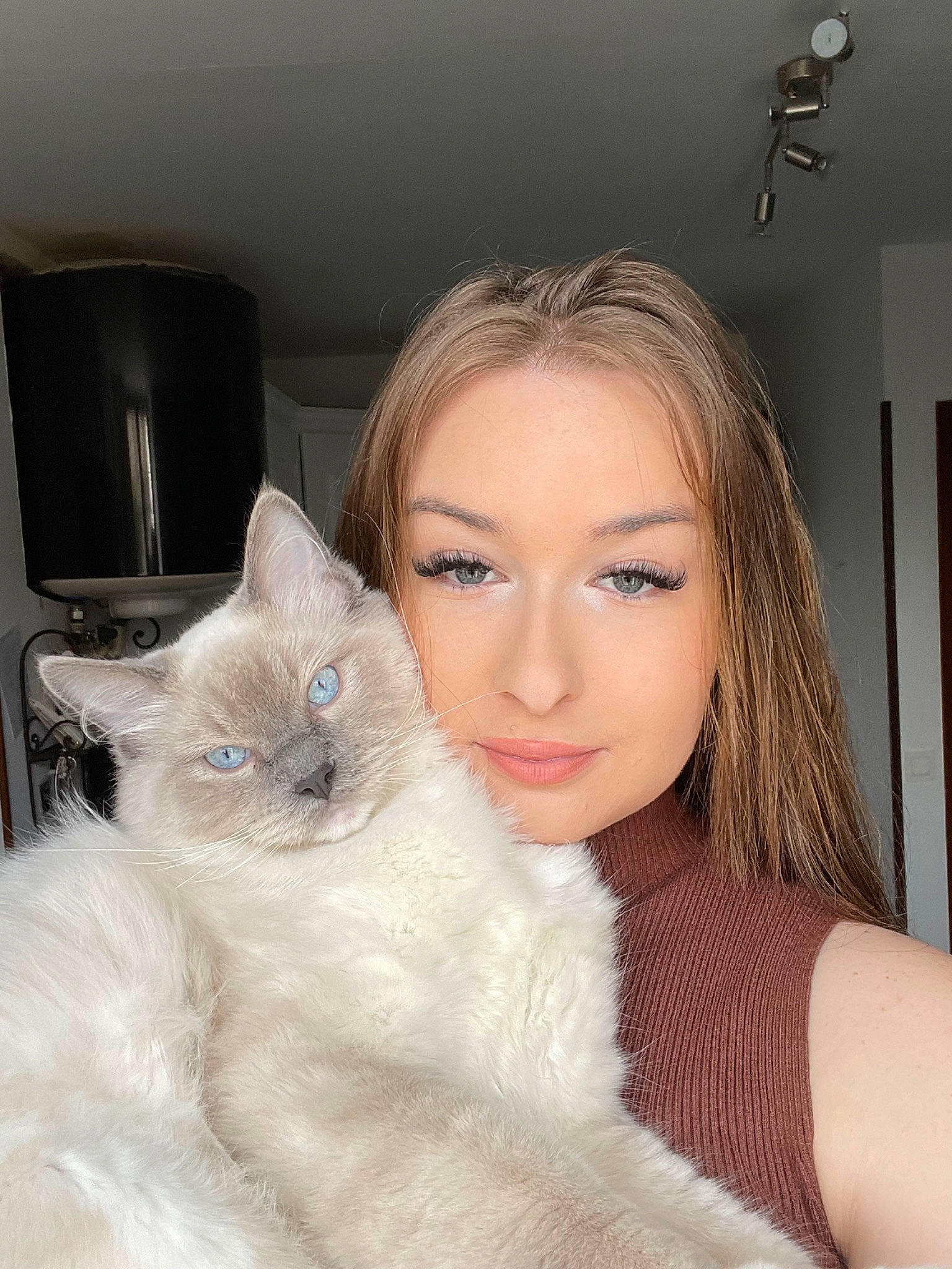 Sharly a rejoint le concours — aidez-le/la à gagner de superbes lots ! beauty, birman, blond, british_longhair, cat, comfort, companion_dog, eyelash, felidae, flash_photography, flooring, formal_wear, fur, jewellery, layered_hair, light_fixture, long_hair, ragdoll, small_to_medium_sized_cats, whiskers