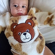 Joshua is registered to the contest to win money with this photo: animal, baby, bear, blanket, bodypart, couch, cushion, face, finger, furniture, hand, head, homedecor, newborn, person, photography, pillow, plush, portrait, toy