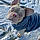Olaf