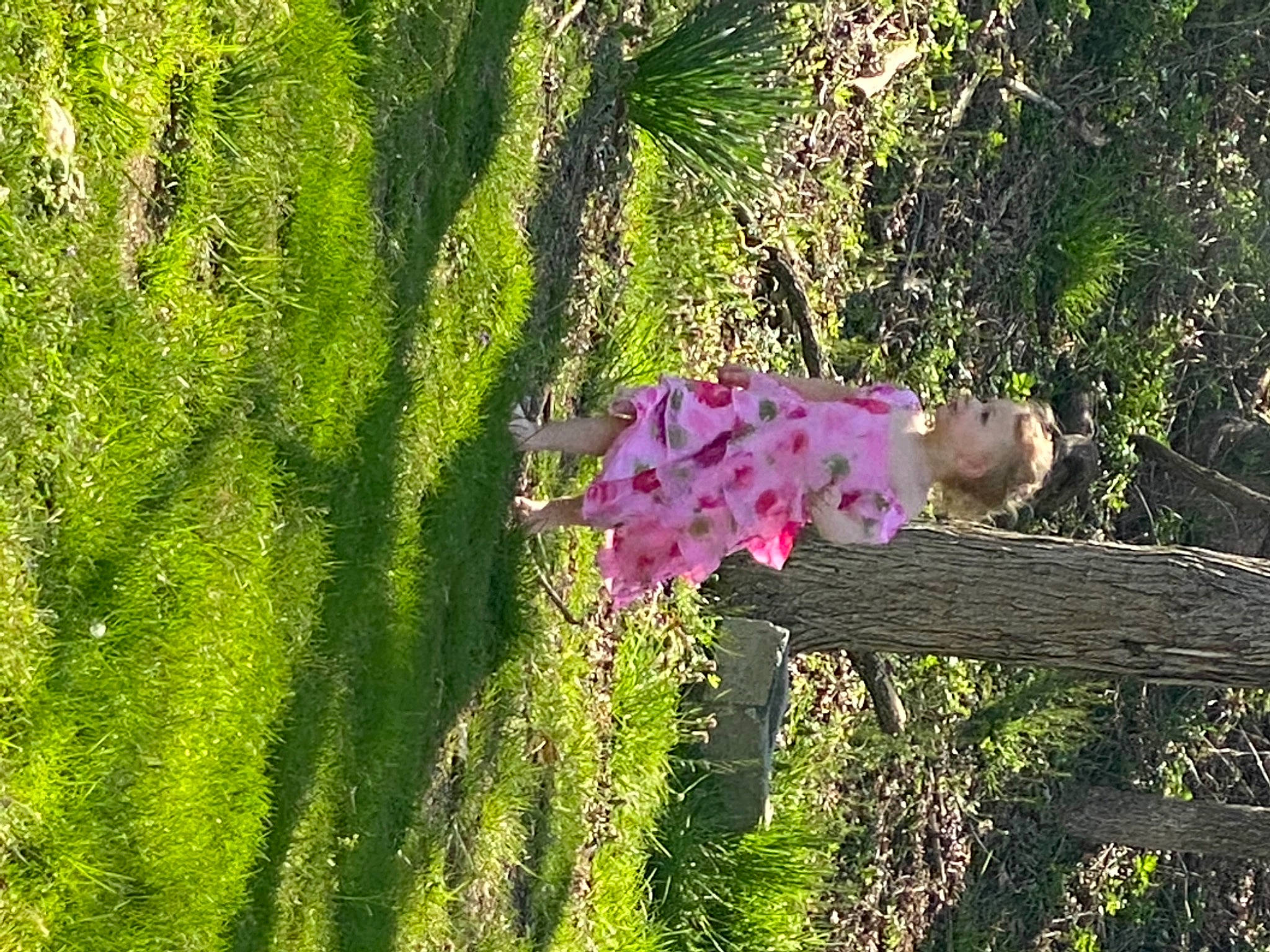 Nevaeh. is registered to the contest to win money with this photo: annual_plant, biome, botany, evergreen, flower, flowering_plant, garden, grass, groundcover, landscape, magenta, natural_landscape, person, petal, plant, shrub, terrestrial_plant, tree, trunk, vegetation