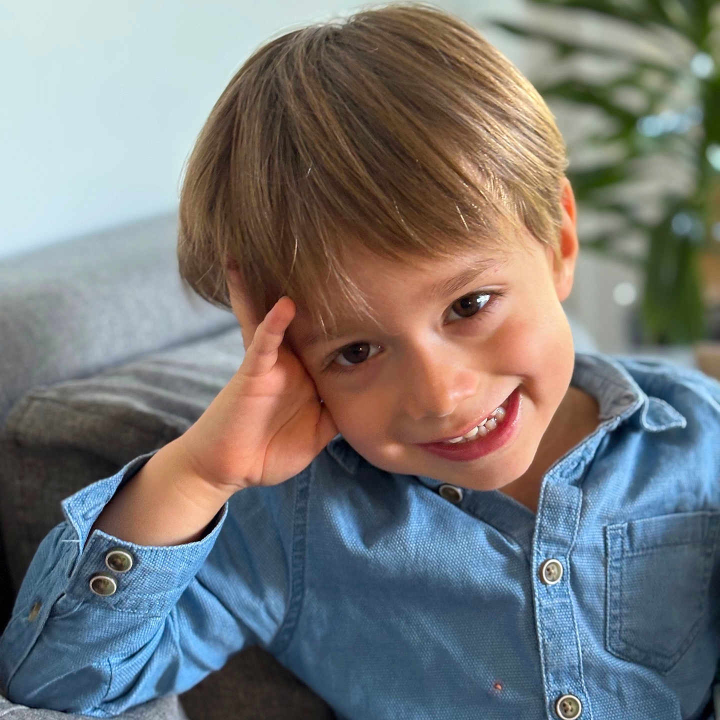 Darren participe au concours pour gagner de l'argent avec cette photo : background_blur, blond_hair, blue_shirt, boy, button_up, casual, cheerful, child, couch, face, furniture, happy, home, indoor, person, plant, portrait, relaxed, smile, young