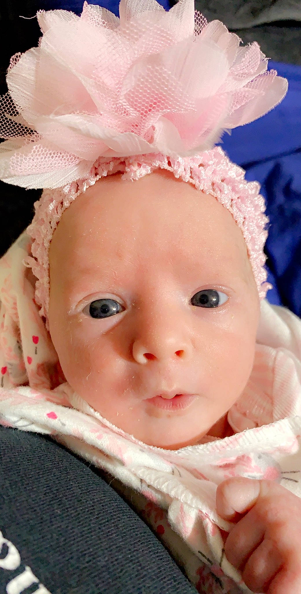 Tasha is registered to the contest to win money with this photo: baby, cheek, child, close_up, eye, eyebrow, face, hair_accessory, head, headgear, lip, mouth, nose, person, pink, portrait_photography, skin, smile, toddler