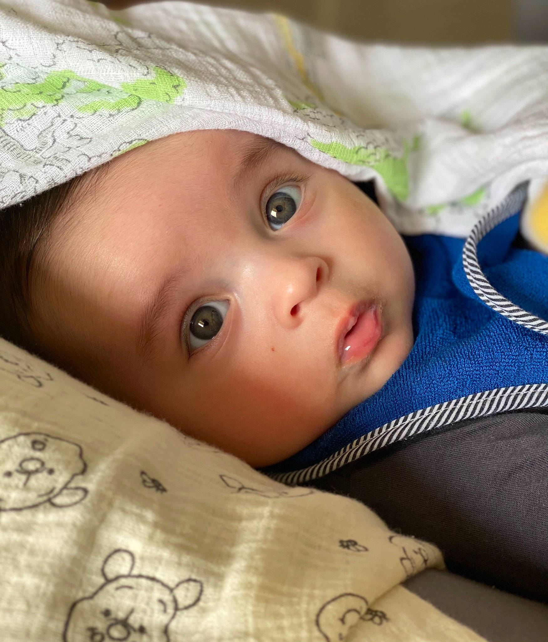 Gabriel participe au concours pour gagner de l'argent avec cette photo : cap, cheek, chin, eye, eyebrow, eyelash, face, forehead, happy, hat, head, headgear, iris, lip, mammal, nose, person, skin, sleeve, textile