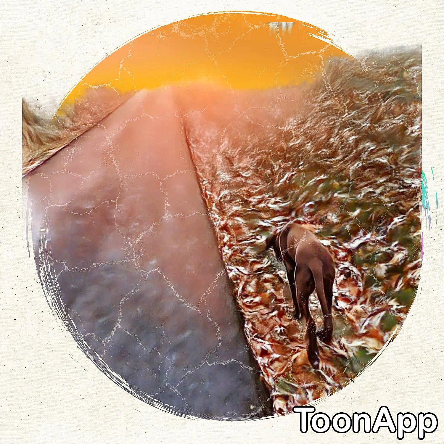 Capone joined the competition — help win amazing prizes! citric_acid, citrus, clementine, comfort_food, fashion_accessory, food, fruit, ingredient, liver, mandarin_orange, orange, produce, recipe, rectangle, soil, tangerine, terrestrial_animal, ugli_fruit, valencia_orange, working_animal