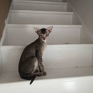 Solal participe au concours pour gagner de l'argent avec cette photo :