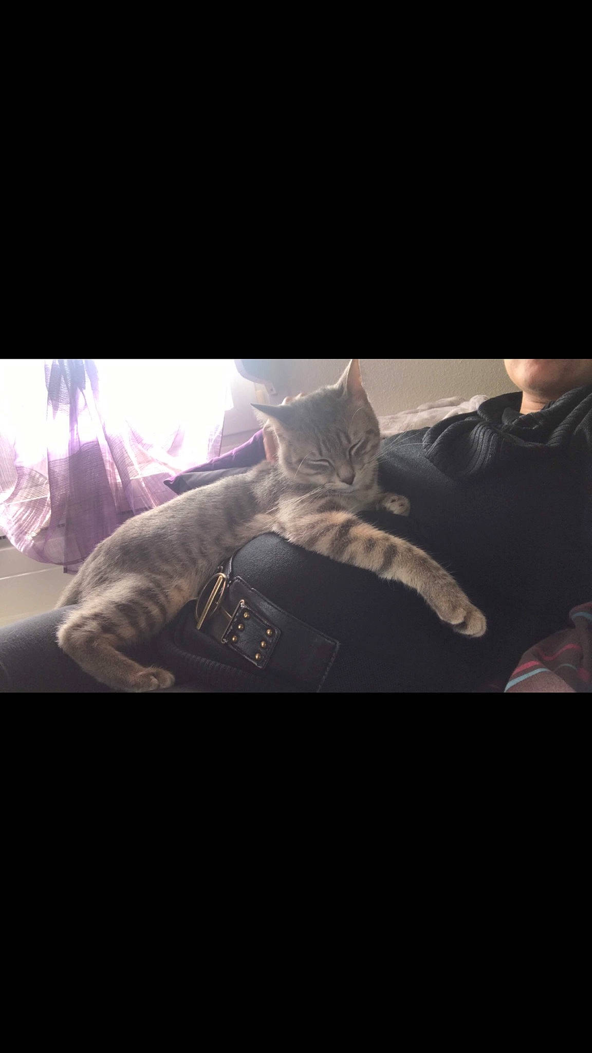 Chouki a rejoint le concours — aidez-le/la à gagner de superbes lots ! arm, beauty, black, cat, cloud, felidae, footwear, hand, kitten, leg, meteorological_phenomenon, mountain, night, shoe, sitting, sky, small_to_medium_sized_cats, square, t_shirt, whiskers