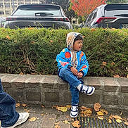 Zoraiz a rejoint le concours — aidez-le/la à gagner de superbes lots ! child, boy, jacket, hoodie, jeans, sneakers, sitting, stone_ledge, autumn_leaves, outdoor, parked_cars, bushes, trees, fall_foliage, side_view, curious, pavement, casual_clothing, daylight, urban