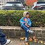 child, boy, jacket, hoodie, jeans, sneakers, sitting, stone_ledge, autumn_leaves, outdoor, parked_cars, bushes, trees, fall_foliage, side_view, curious, pavement, casual_clothing, daylight, urban