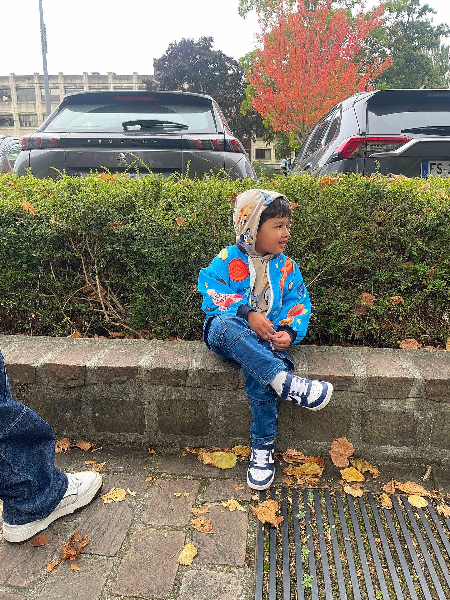 Zoraiz a rejoint le concours — aidez-le/la à gagner de superbes lots ! child, boy, jacket, hoodie, jeans, sneakers, sitting, stone_ledge, autumn_leaves, outdoor, parked_cars, bushes, trees, fall_foliage, side_view, curious, pavement, casual_clothing, daylight, urban