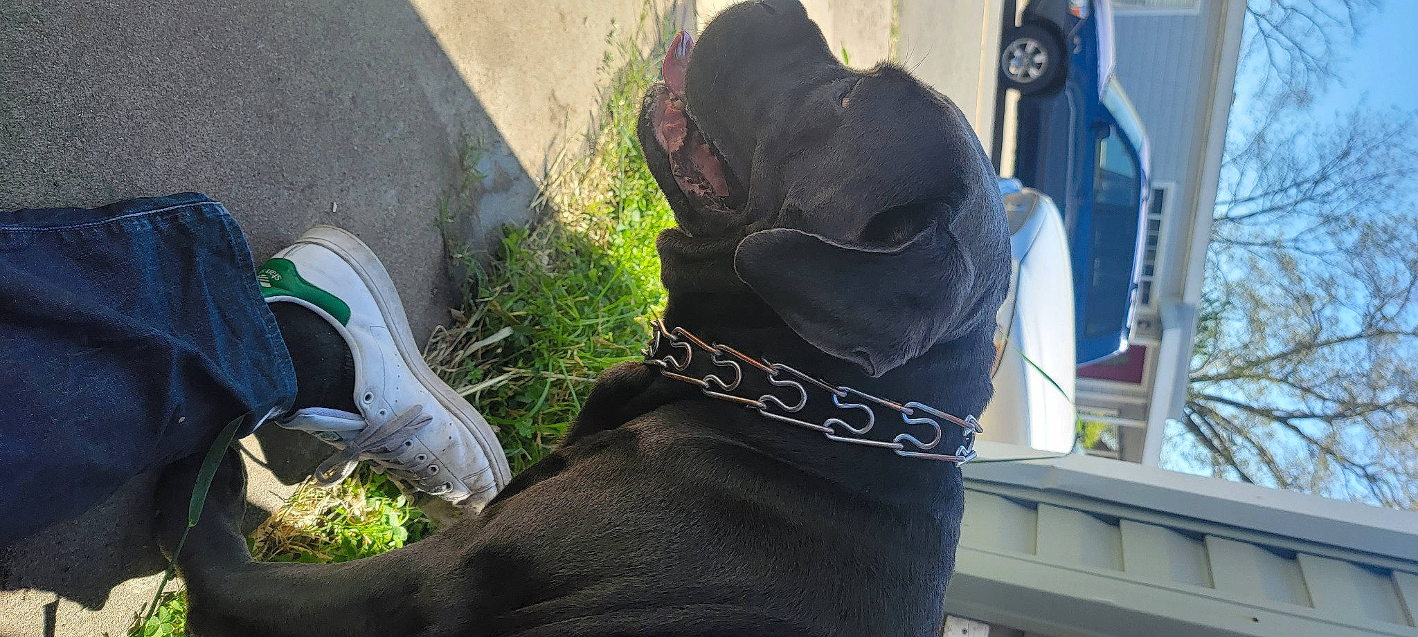 Heaven is registered to the contest to win money with this photo: automotive_tire, baseball_cap, black, cross_training_shoe, grass, grey, hat, human_leg, knee, outdoor_shoe, personal_protective_equipment, plant, shoe, sleeve, sportswear, sunglasses, t_shirt, thigh, tree, walking_shoe