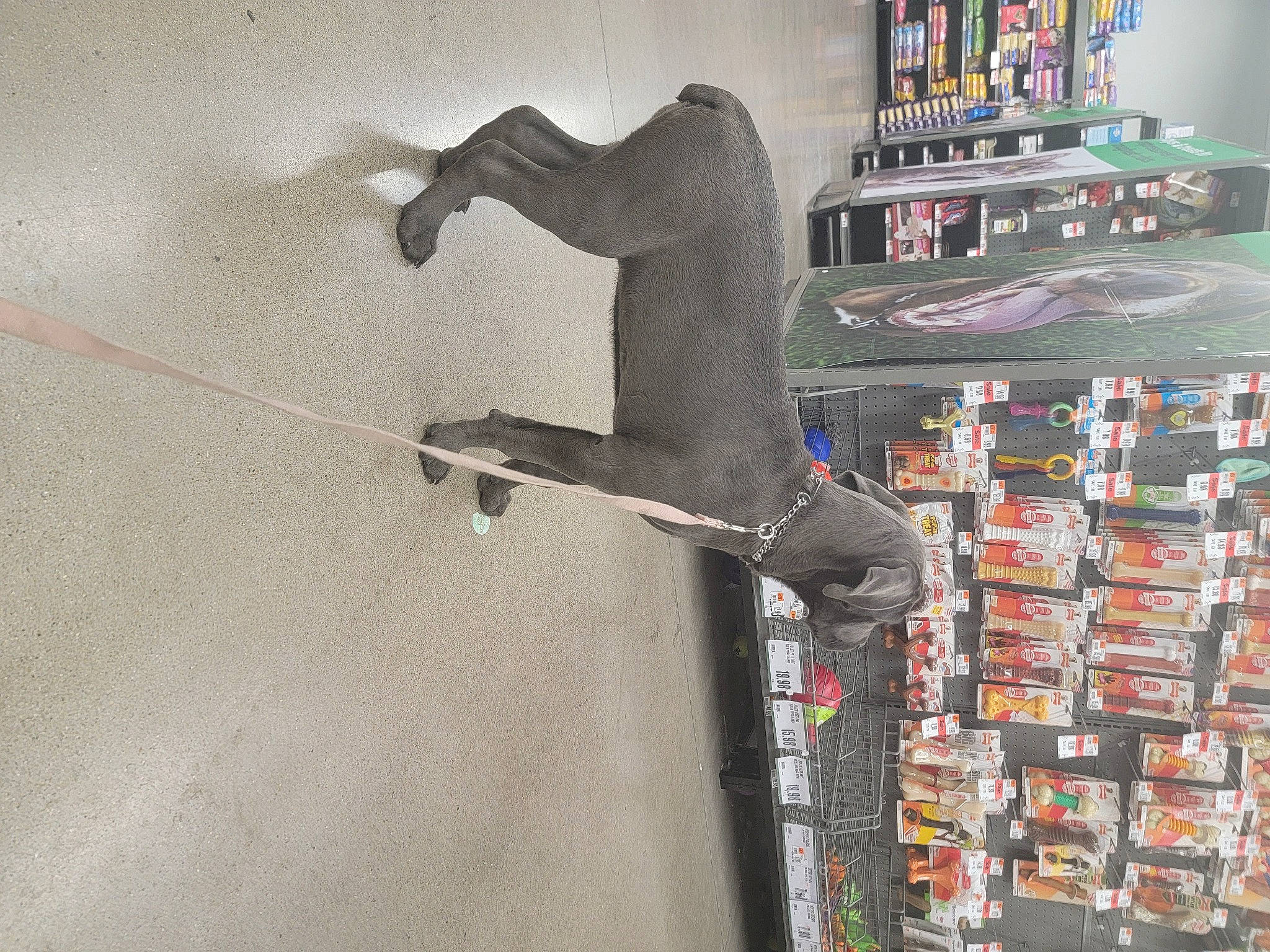 Heaven joined the competition — help win amazing prizes! art, collection, concrete, facade, grey, illustration, mural, plaster, publication, retail, room, sculpture, shelf, shelving, statue, toy, visual_arts, wood