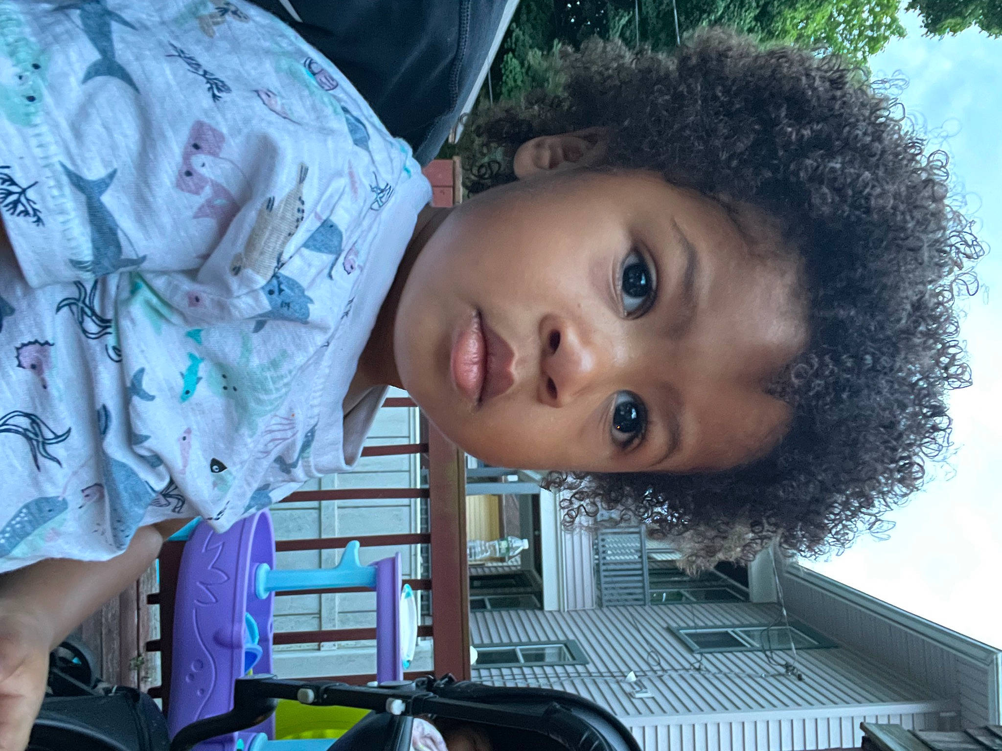 Giovani is registered to the contest to win money with this photo: afro, beauty, black_hair, child, cool, facial_expression, forehead, fun, hairstyle, happy, human, jheri_curl, mouth, nose, person, plant, ringlet, t_shirt, toddler, tree