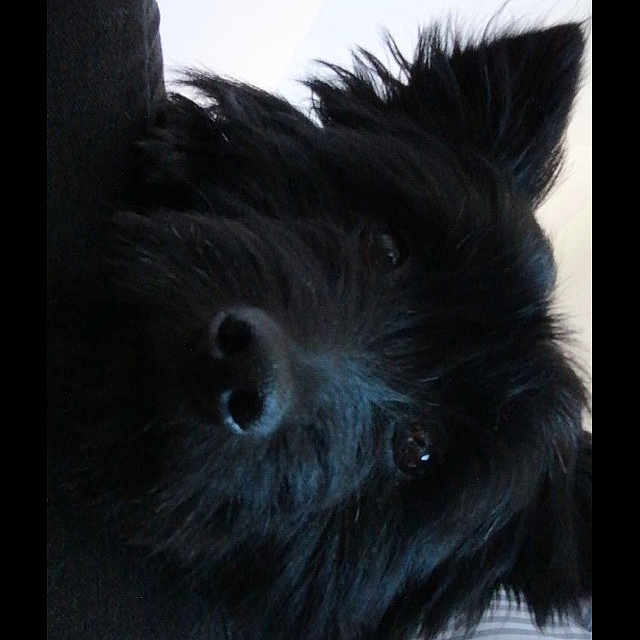 Rocky