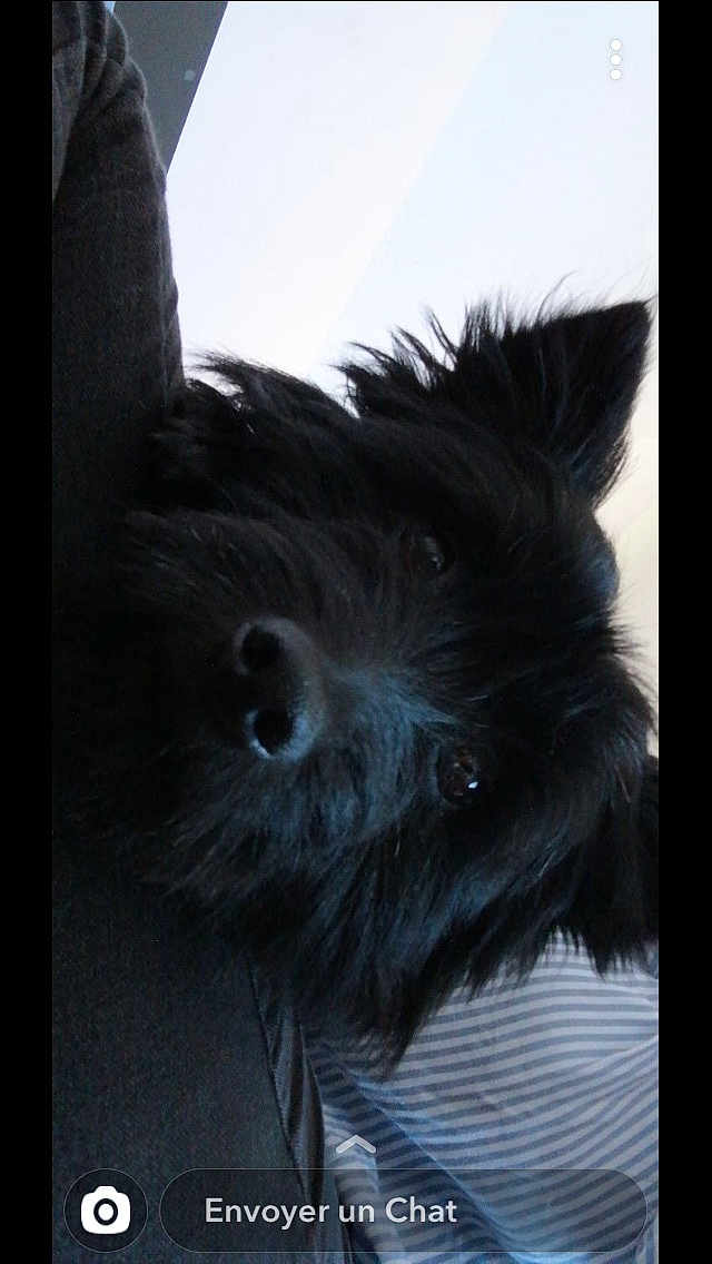 Rocky