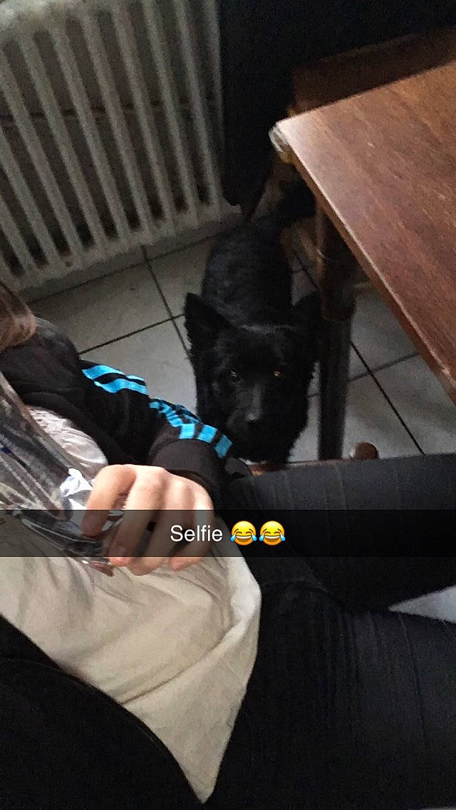 Rocky participe au concours pour gagner de l'argent avec cette photo : black_cat, hand, leg, photography