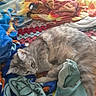 cat, blanket, fabric, bedspread, sleeping, cozy, colorful, indoor, feline, resting, soft, pattern, texture, pet, animal, comfort, domestic, laying_down, striped, fur