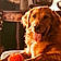 Shiloh