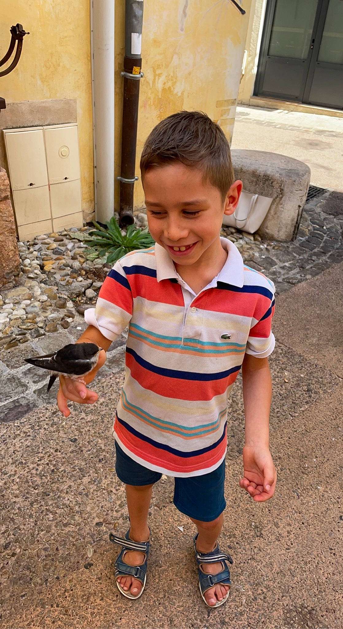 Ethan a rejoint le concours — aidez-le/la à gagner de superbes lots ! baby_toddler_clothing, child, door, flooring, fun, grass, happy, joy, leisure, mouth, pattern, person, play, shorts, sitting, sleeve, smile, soil, t_shirt, toddler