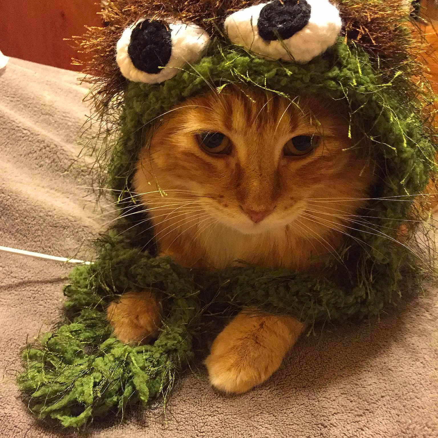 Hogan is registered to the contest to win money with this photo: