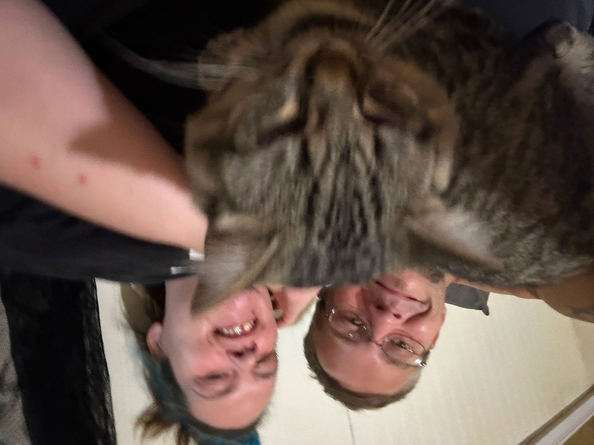 Smokey joined the competition — help win amazing prizes! cat, domestic_short_haired_cat, ear, event, facial_hair, felidae, fun, fur, gesture, jaw, small_to_medium_sized_cats, smile, tree, whiskers