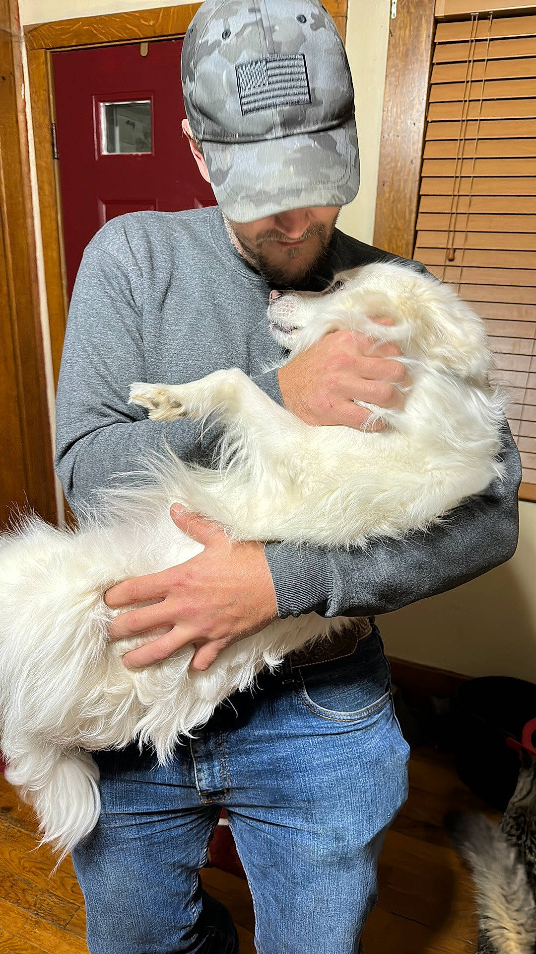 Sky joined the competition — help win amazing prizes! abdomen, beard, cap, chair, companion_dog, denim, door, facial_hair, felidae, fur, gesture, glove, grandparent, hat, lap, sitting, small_to_medium_sized_cats, toy_dog