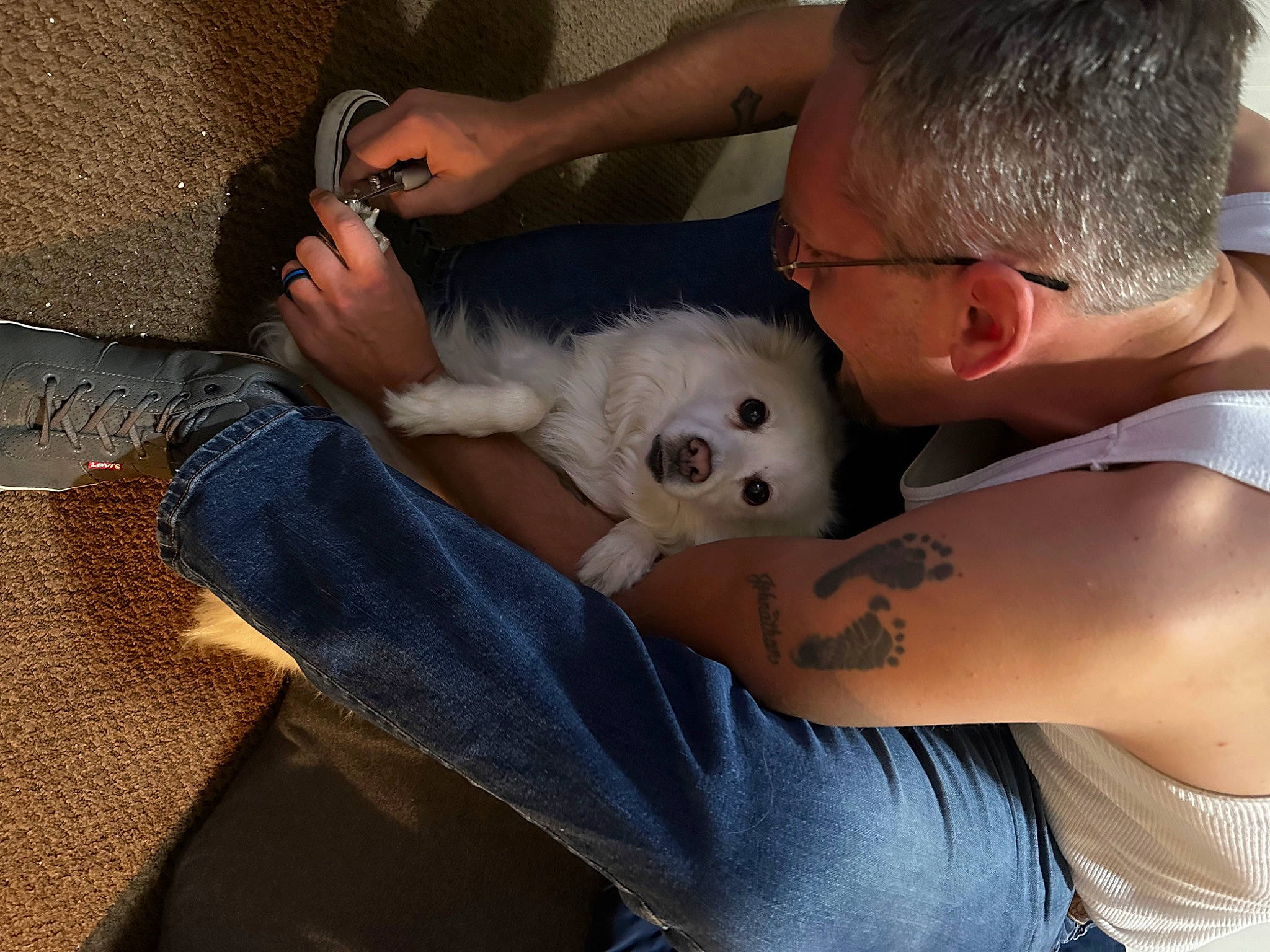 Sky joined the competition — help win amazing prizes! abdomen, arm, canidae, carnivore, chest, companion_dog, dog_breed, ear, elbow, eyewear, fawn, felidae, finger, hand, head, joint, skin, small_to_medium_sized_cats, snout, trunk