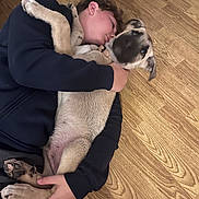 Aslan a rejoint le concours — aidez-le/la à gagner de superbes lots ! person, dog, puppy, hug, floor, wooden_floor, indoor, casual_clothing, pet, animal, cuddle, relaxation, companion, young_person, paw, tail, ears, face, home, bond