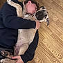 person, dog, puppy, hug, floor, wooden_floor, indoor, casual_clothing, pet, animal, cuddle, relaxation, companion, young_person, paw, tail, ears, face, home, bond