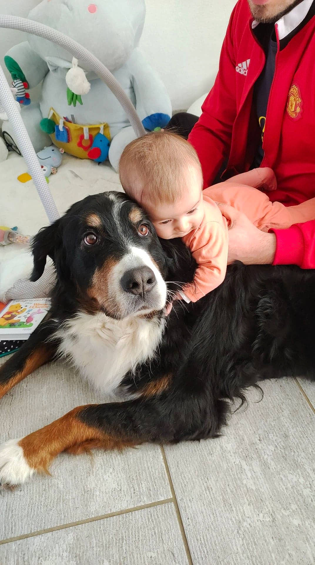 Lilou a rejoint le concours — aidez-le/la à gagner de superbes lots ! baby, ball, canidae, carnivore, chair, companion_dog, dog, dog_breed, event, fawn, flooring, fur, happy, hat, lap, person, smile, snout, suit, toddler