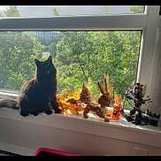 Lily joined the competition — help win amazing prizes! cat, black_cat, windowsill, toys, figurines, sunlight, window, greenery, plants, indoor, pets, animals, collectibles, sunny, daylight, home, decor, playful, cute, feline