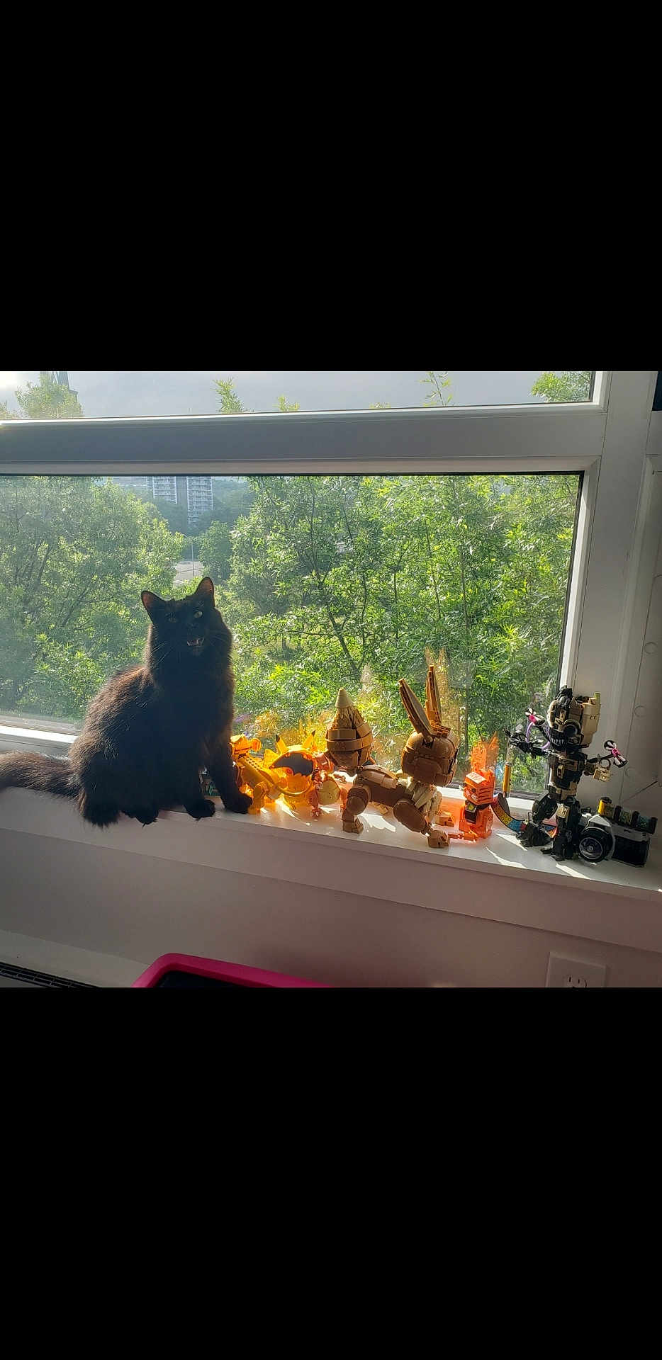 Lily