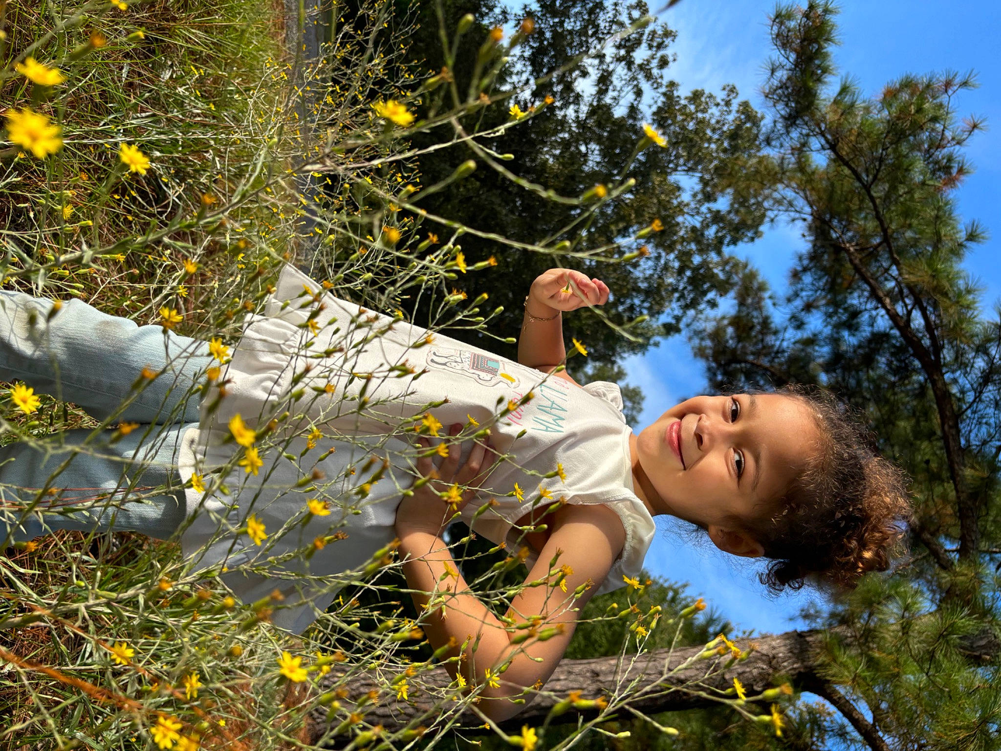 Arielle joined the competition — help win amazing prizes! botany, branch, electric_blue, flash_photography, grass, happy, joy, leaf, natural_landscape, nature, people_in_nature, person, plant, sky, smile, sunlight, tree, twig, wilderness, wildflower