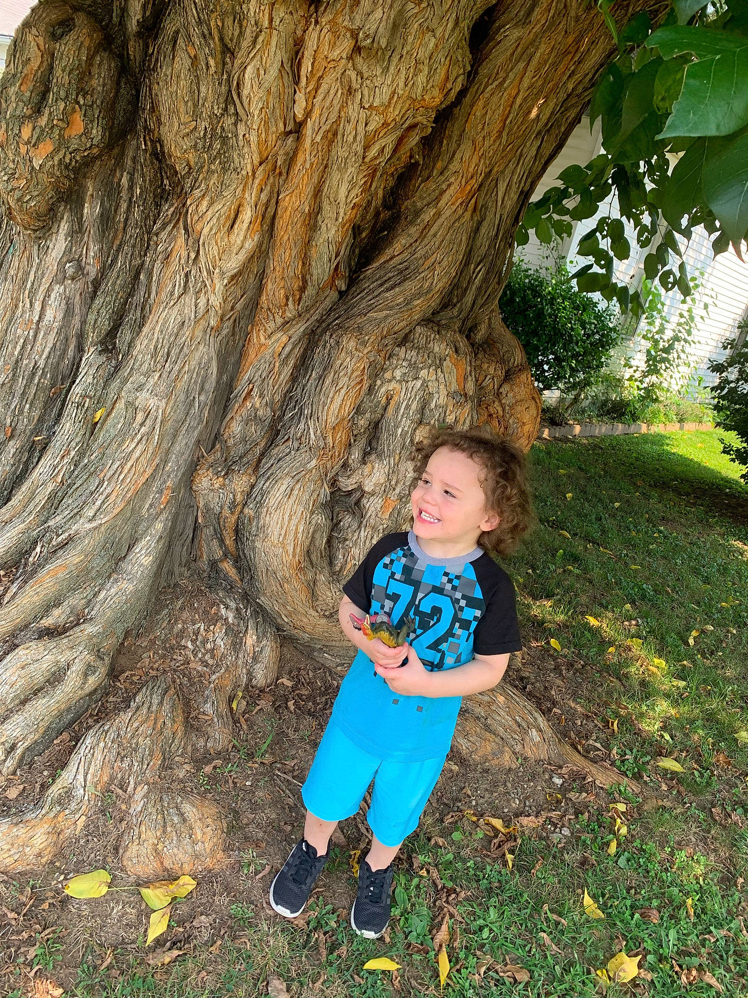Arritt joined the competition — help win amazing prizes! branch, deciduous, electric_blue, forest, fun, grass, happy, joy, leisure, natural_landscape, nature, people_in_nature, person, plant, soil, terrestrial_plant, toddler, tree, trunk, wood