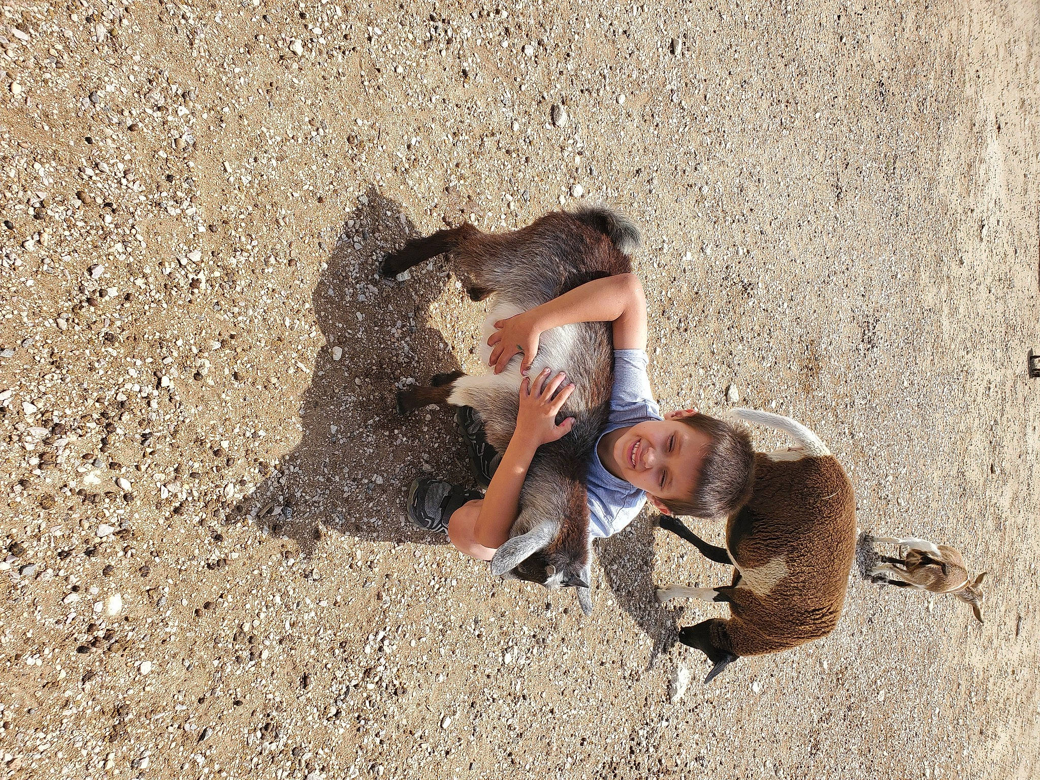 Aden is registered to the contest to win money with this photo: barefoot, child, comfort, concrete, foot, fun, grass, human_leg, joy, landscape, leisure, people_in_nature, person, play, recreation, rock, sand, shadow, sitting, soil
