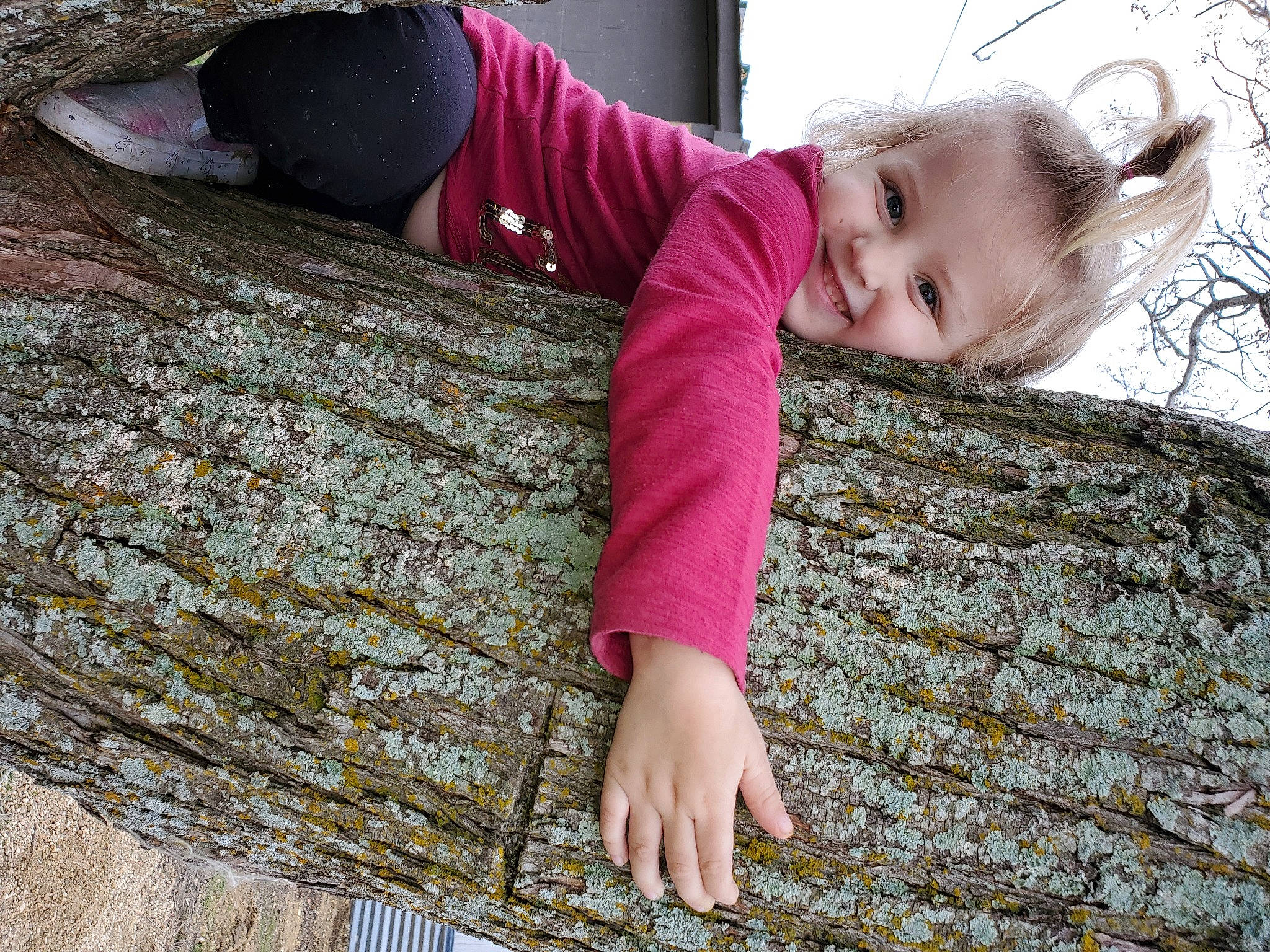 Lillyan joined the competition — help win amazing prizes! baby_toddler_clothing, beauty, eye, grass, green, happy, human, joy, leaf, magenta, outerwear, people_in_nature, person, pink, red, skin, sleeve, smile, toddler, tree