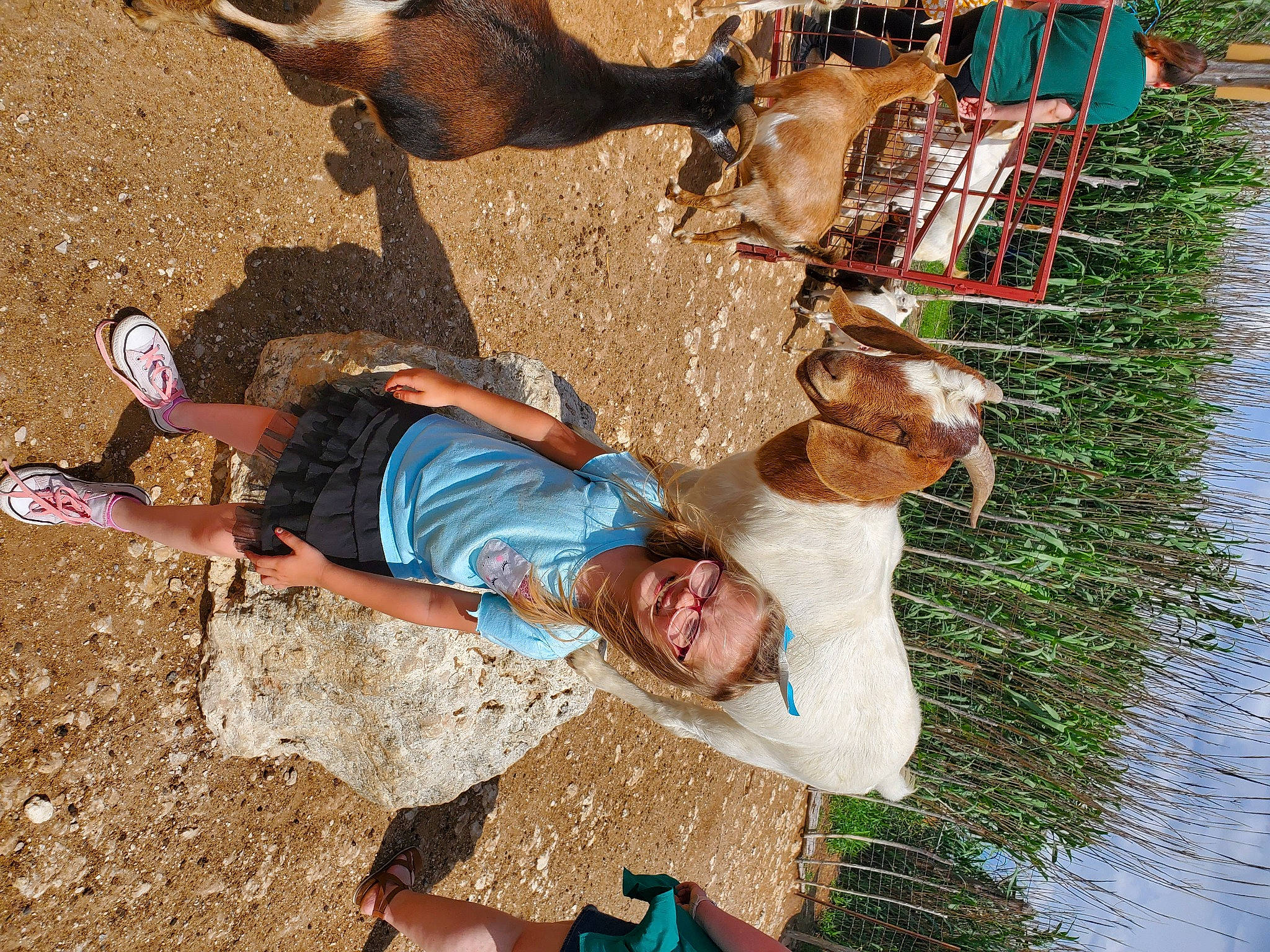 Auroura joined the competition — help win amazing prizes! adaptation, fawn, fun, grass, joy, landscape, leisure, livestock, people_in_nature, person, plant, recreation, smile, soil, summer, sunglasses, tree, vacation, vertebrate, water