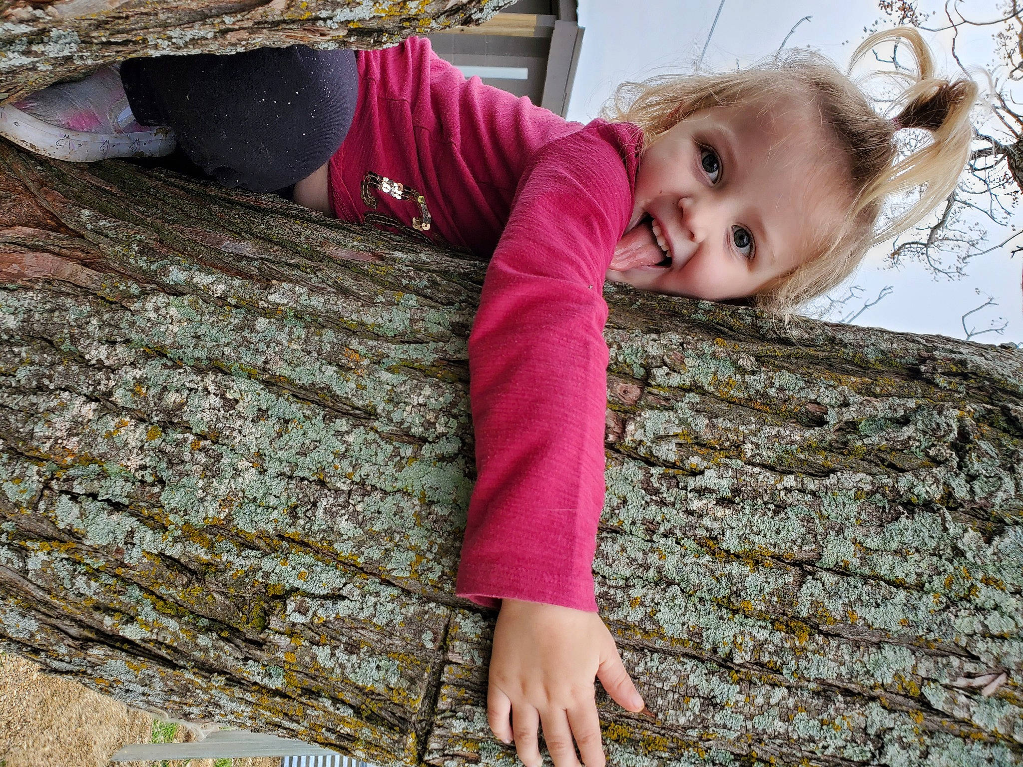 Lillyan is registered to the contest to win money with this photo: baby_toddler_clothing, child, dress, eye, grass, happy, head, joint, magenta, pattern, people_in_nature, person, pink, skin, sleeve, smile, textile, toddler, tree, trunk