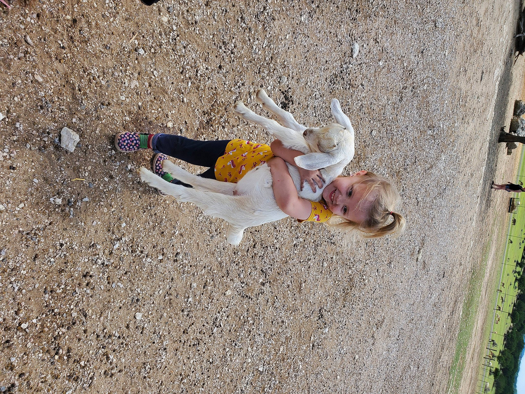 Lillyan is registered to the contest to win money with this photo: asphalt, concrete, dress, fun, grass, human_leg, joy, landscape, leisure, people_in_nature, person, plant, recreation, road_surface, shadow, sidewalk, sitting, smile, soil, street_fashion