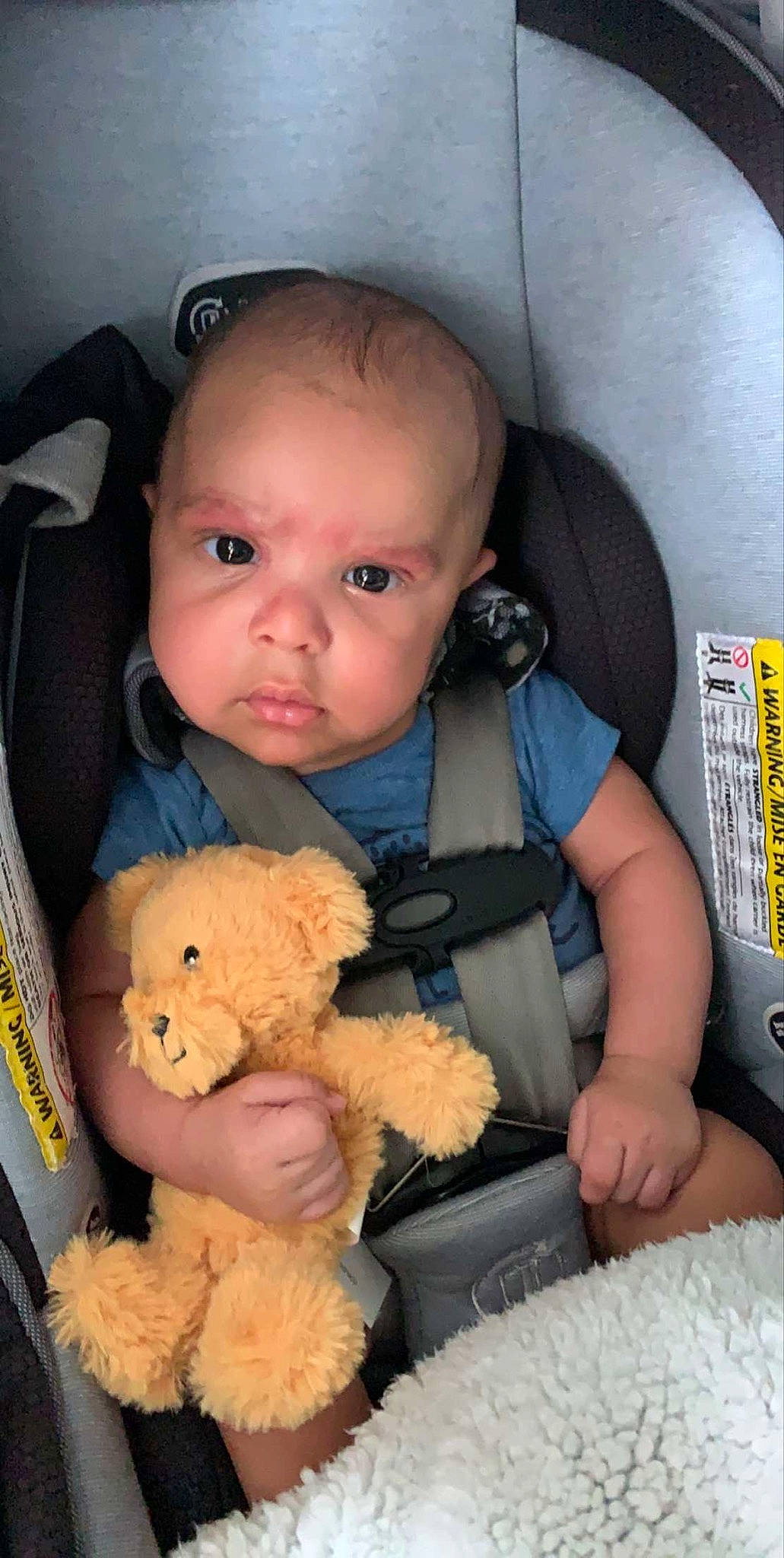 Terry is registered to the contest to win money with this photo: baby, baby_carriage, baby_in_car_seat, baby_products, car_seat, car_seat_cover, cheek, child, head, person, product, skin, stuffed_toy, teddy_bear, toddler