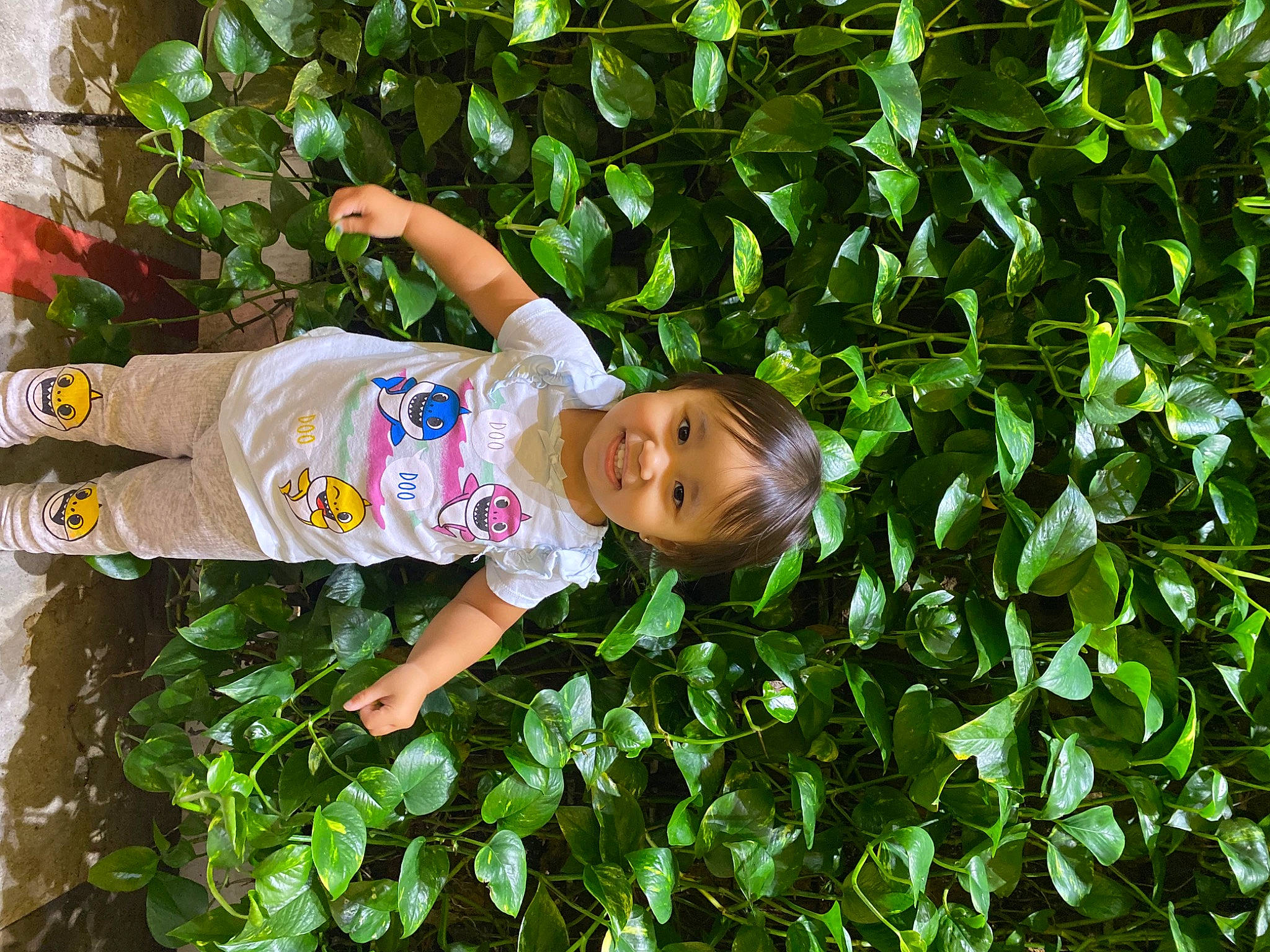 Bailey joined the competition — help win amazing prizes! child, face, flowering_plant, fun, grass, groundcover, happy, hat, herb, joy, leisure, organism, people_in_nature, person, plant, plantation, shrub, smile, t_shirt, thumb