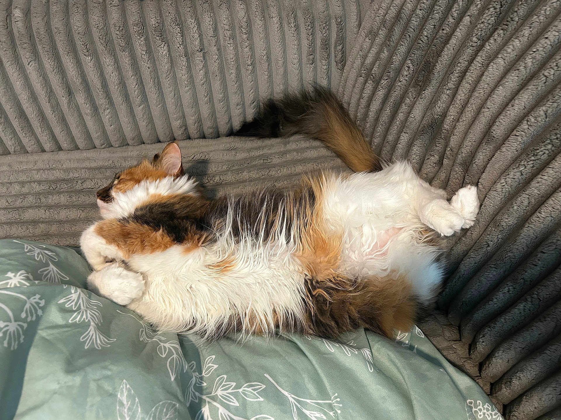 Annabelle