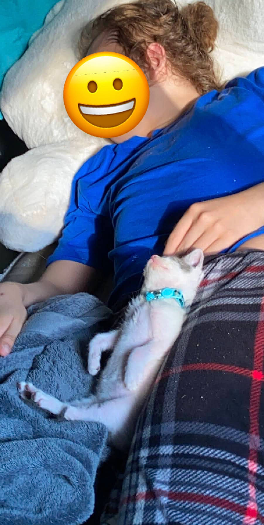 Cloudy is registered to the contest to win money with this photo: hand, plush, smile, textile