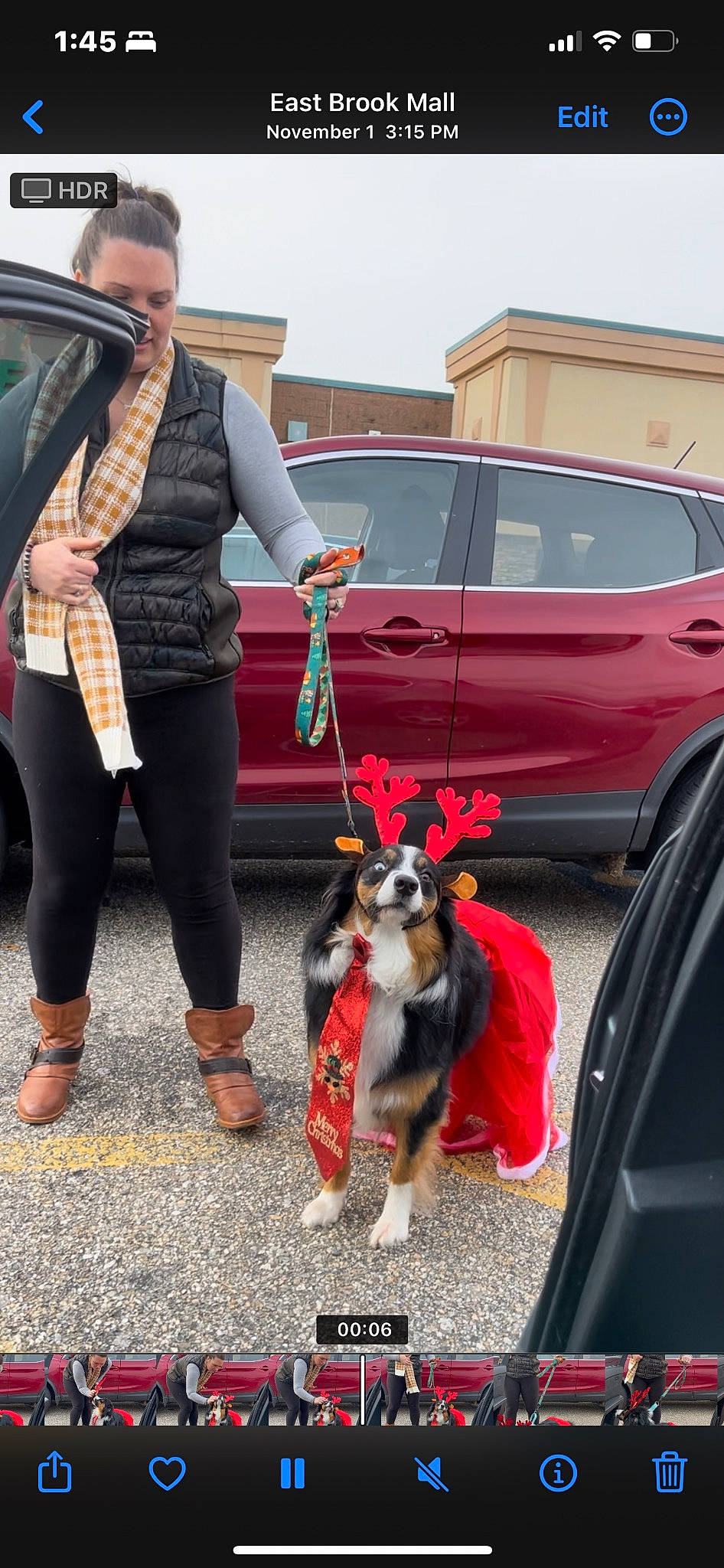 Monkey joined the competition — help win amazing prizes! automotive_design, automotive_exterior, car, carnivore, companion_dog, dog, dog_breed, family_car, fashion_accessory, fawn, fur, land_vehicle, leash, luxury_vehicle, motor_vehicle, parking, tire, vehicle, vehicle_door, wheel