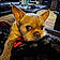 Scrappy Doo